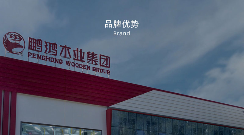 板材品牌、全屋定制品牌、生態(tài)板十大品牌