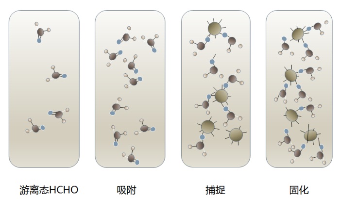 石膏板凈化原理示意圖